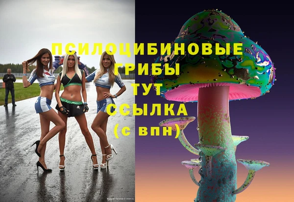 apvp Аркадак