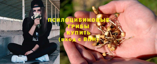 мяу мяу мука Сафоново