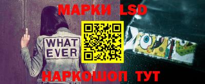 ALPHA PVP Кингисепп