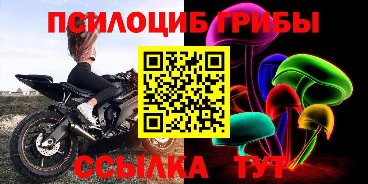 продажа наркотиков  Вход с VPN  Кувандык  Псилоцибиновые грибы ЛСД 